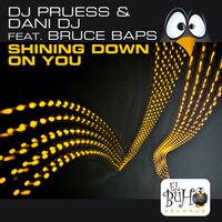 Shining Down On You - Dj Pruess & Dani Dj & Bruce Baps