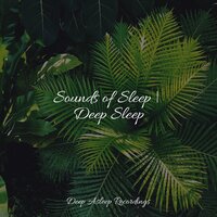 Music for Drifting Off - Zen Music Garden & Bedtime Baby & SleepTherapy