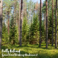Spruce Forest Birdsong Ambience, Pt. 20 - Steve Brassel