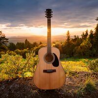 Historia En Cuerdas - Tranquilo Musica Relajante de Guitarra & Cazadores de zoológicos & Colectivo de sonidos de la naturaleza y la selva tropical