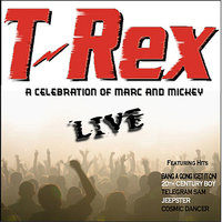 Ride a White Swan - Mickey Finn's T-Rex & Mickey Finn\'s T-Rex