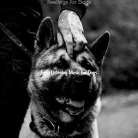 Background for Dogs - Easy Listening Music for Dogs