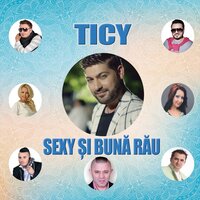 Nu Pot Sa Traiesc Fara Tine - TICY & Narcisa