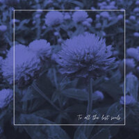 Bleed - Switch