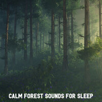 Eerie Forest - Forest Sounds