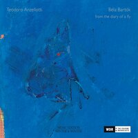 Fourteen Bagatelles / Vierzehn Bagatellen / Tizennégy Bagatell, Op. 6, Bb 50: 2. Allegro Giocoso - Teodoro Anzellotti & Бела Барток