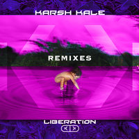 Letting Go - Karsh Kale