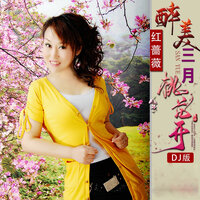醉美三月桃花开 - 红蔷薇