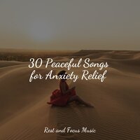 Spirit of the Ocean - Amazing Spa Music & Meditação Maestro & Spa & Spa