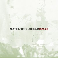 Dust - Agaric