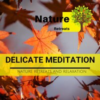 Forest Bells - Zen Healing Melodies