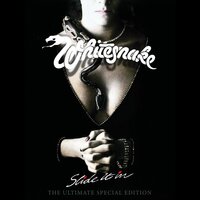 Gambler - Whitesnake