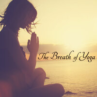 Prana Yoga - Relax Therapy - Yin And Yang