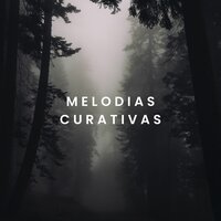 Senderos del Bienestar - Coelo Music