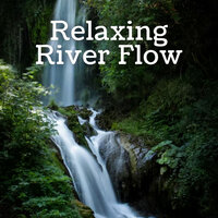 Mountainous Sound - The Outdoor Library & Meditation Music Experience & Relaxing Music Playlist