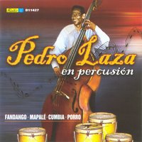 Cero Treinta y Nueve - Pedro Laza