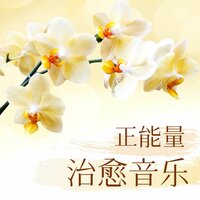 瑜伽课程正能量音乐 - 心情轻音乐