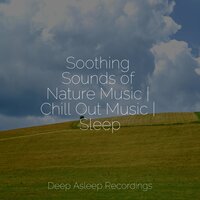 Softly Dreaming - Spa & Spa & Reiki Tribe