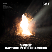 Taurus - Spirit