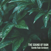 Holiday Rain - Sleeping Music Experience & Spa & Study Alpha Waves