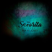 Señorita - Joeey & Nia
