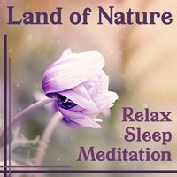 Meditation for Your Soul - Calm Nature Oasis