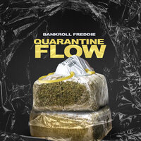 Quarantine Flow - Bankroll Freddie