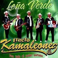 Se Volteo La Moneda - Leña Verde