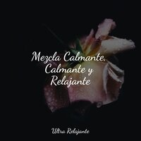 Felicidad En La Mente - Academia de Relaxamento e Meditação & Sueños Triplete & Maestros de música de la meditación