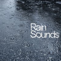 Rain Storm - Nature Sounds & Rain Sounds & Relaxation Channel
