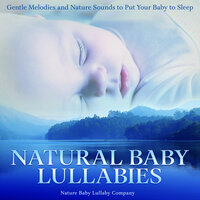 A Fun Ride - Nature Baby Lullaby Company & Crystal Aura