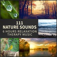 Pan Flute Music: Tai Chi - Relaxing Music Pro Effects Unlimited