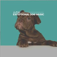 Ultimate Calm Meditative Music for Your Dog, Pt. 4 - Dog Music
