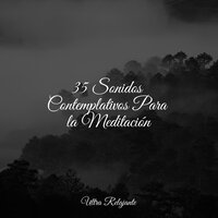 Armonía Consciente - Jazz Para Crianças & Piano Relajante & Relaxamento Sons da Natureza Ruído Branco Musicas Clube