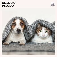 Alma Canina - Mascotas Amor Club & Musica Relajante para Perrors Clasico & Relax Animal Sonoro & Música Relajante Perrors
