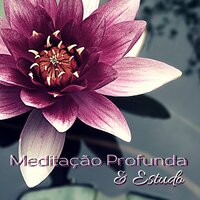 Canções de Estudo Calmas (Flauta Asiática) - Perfeito Bruno