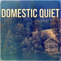Enjoy Your Day - Instrumental Background Music Ensemble
