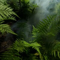 Savannah Sounds - Heavy Rain Sounds & Entspannungsmusik Meer & Sleep Rain