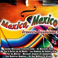 Un Mariachi Toca - Orquesta Guadalupe