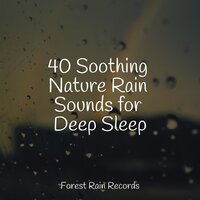 Rain, Nature, Medium, Light Wind - Exam Study Classical Music & Ready Baby Music! & Pro Sounds of Nature