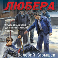 Валерий Карышев. «Любера. От дворовых банд до криминальных бригад». Часть 17 - Олег Томилин