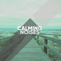 Wah Wah Waves - Calm Music Ensemble