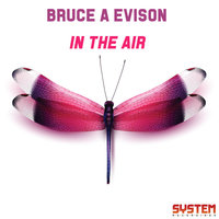 In the Air - Bruce A Evison & Monstergetdown