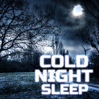 Ocean Cold Wind & Campfire - Cold Night Sleep Sounds & Wind Sounds & The Nature Sounds & Fire Sounds & Ocean Sounds & OCEANS