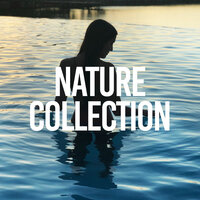 Rainy Summer - Rain Sounds & White Noise