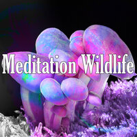 Chiming Rain Drops - Kundalini: Yoga