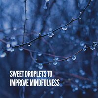 Rainfall Rejuvenation - Clear Mind Raining