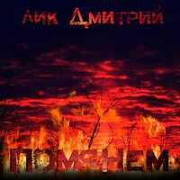 Не мешайте русским воевать - Дмитрий Лик