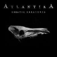 Insects - Atlantika