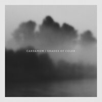 Shades of Color - Cardamom